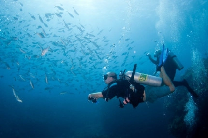 2-Tank Boat Dive in the Cayman Islands