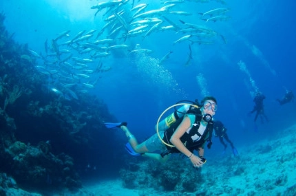 2-Tank Boat Dive in the Cayman Islands