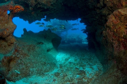 2-Tank Boat Dive in the Cayman Islands