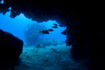 2-Tank Boat Dive in the Cayman Islands