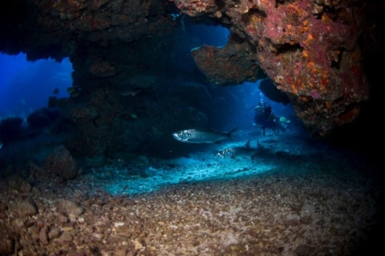 2-Tank Boat Dive in the Cayman Islands