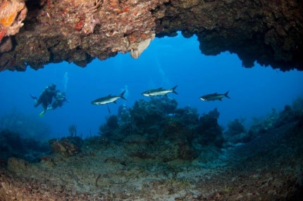 2-Tank Boat Dive in the Cayman Islands