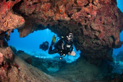 2-Tank Boat Dive in the Cayman Islands