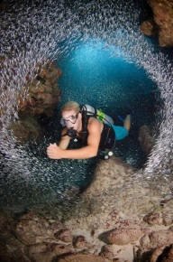 2-Tank Boat Dive in the Cayman Islands