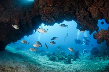 2-Tank Boat Dive in the Cayman Islands