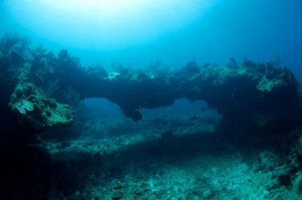 2-Tank Boat Dive in the Cayman Islands