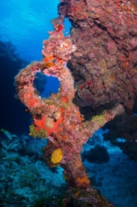 2-Tank Boat Dive in the Cayman Islands