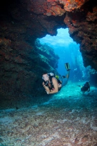2-Tank Boat Dive in the Cayman Islands