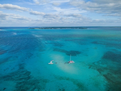 Champagne Stingrays