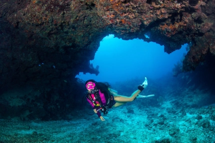 The Reef Roamer 1-Tank Boat Dive Gallery