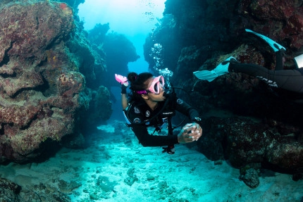 The Reef Roamer 1-Tank Boat Dive Gallery