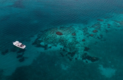 Night Dive Aerials