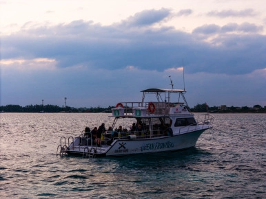 Night Dive Aerials