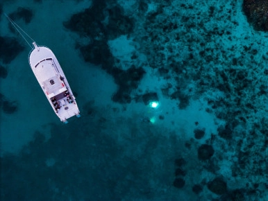 Night Dive Aerials