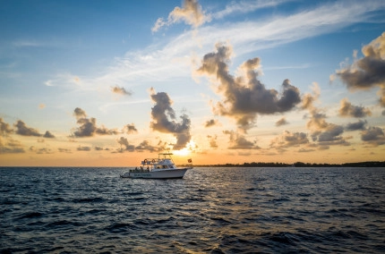 Night Dive Aerials