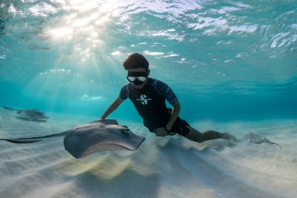 Stingray Sandbar Snorkel Boat Trip
