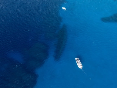 Kittiwake Wreck Safari Photo Gallery