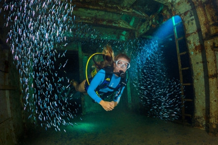 Kittiwake Wreck Safari Photo Gallery