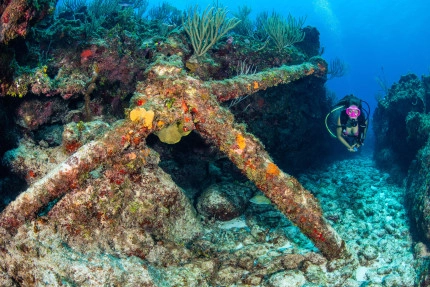 Kittiwake Wreck Safari Photo Gallery