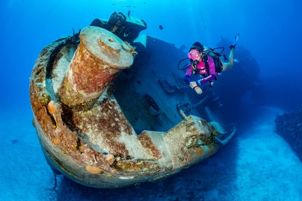 Kittiwake Wreck Safari Photo Gallery