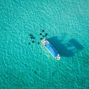 Dawn Stingrays Snorkel Boat Trip Photo Gallery