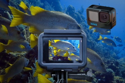 Master your GoPro Workshop Gallery