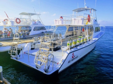 Newton Dive Boat Gallery