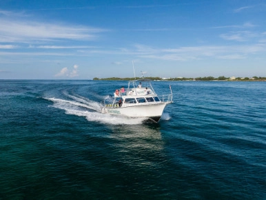 Newton Dive Boat Gallery
