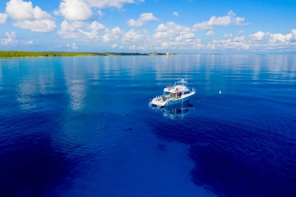 Newton Dive Boat Gallery