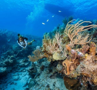 PADI Advanced Open Water Diver