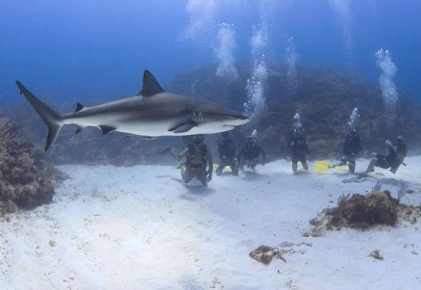 The X-Dive - An Ocean Frontiers