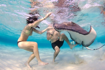 Stingray Sandbar Snorkel Boat Trip