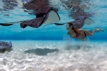 Stingray Sandbar Snorkel Boat Trip