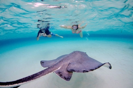 Stingray Sandbar Snorkel Boat Trip
