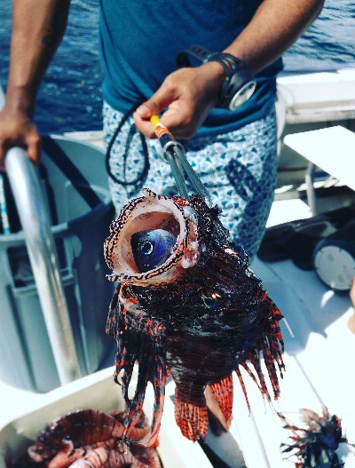 Invasive Lionfish Hunter