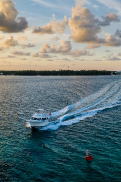 Welcome Cruise