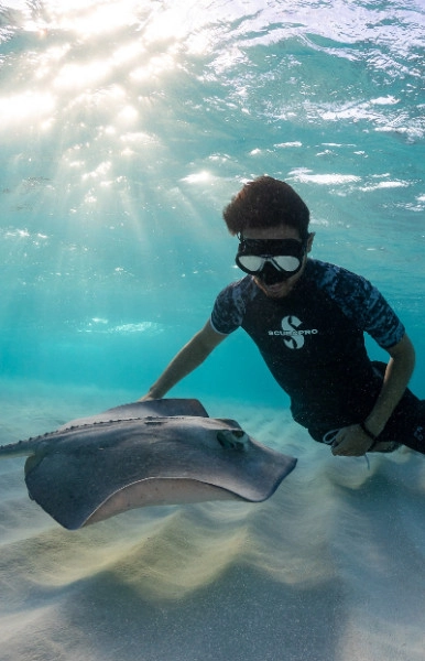 Stingray Sandbar