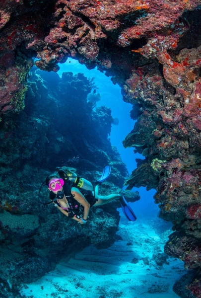 Be-A-Diver