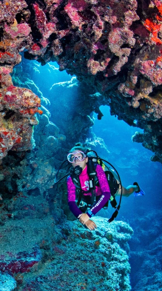 The Reef Roamer