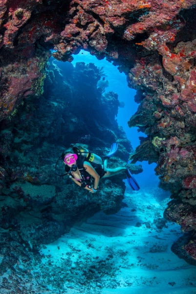 Fixed Dive Packages