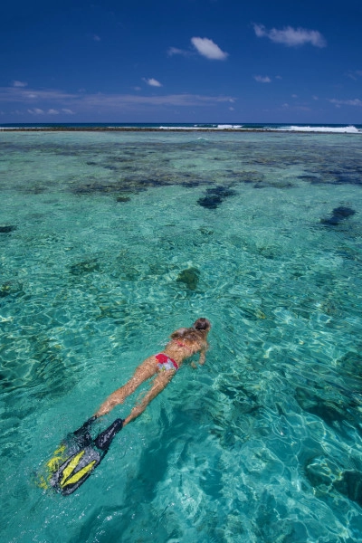 3-Stop Coral Reef Snorkel