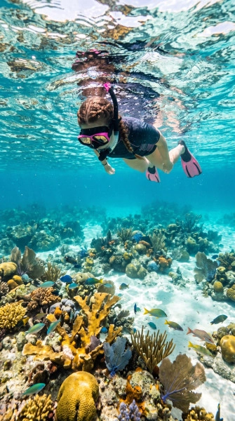 Private Snorkel Charters