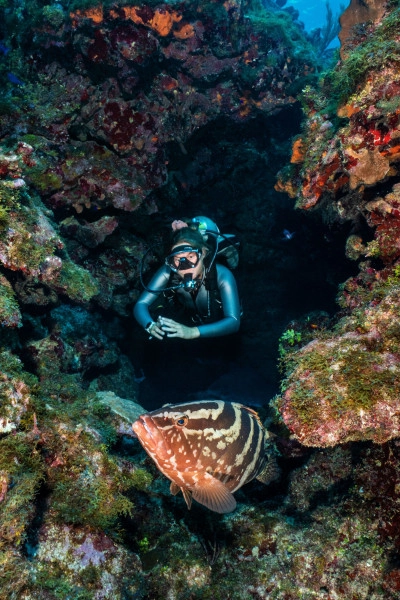The Reef Roamer