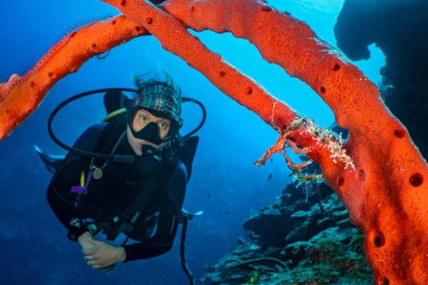 Marine Ecology