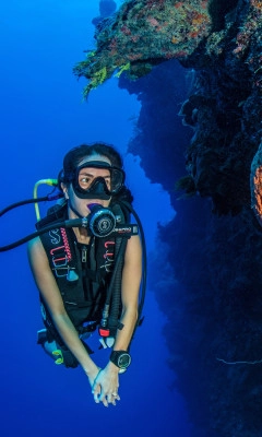 Dive & Stay Specials