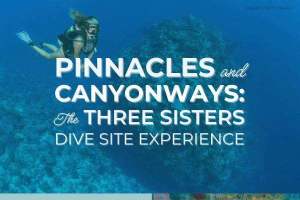 Pinnacles & Canyonways: The Three Sisters Dive Experience
