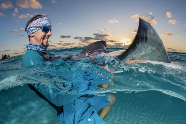Dawn Stingrays