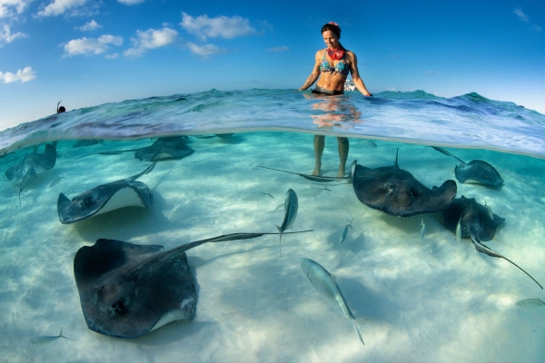 Stingray Sandbar