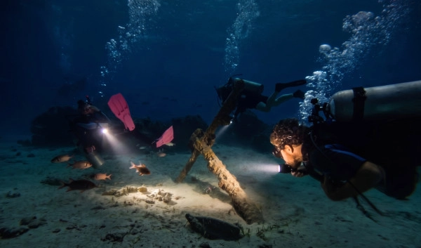 UV Night Dive