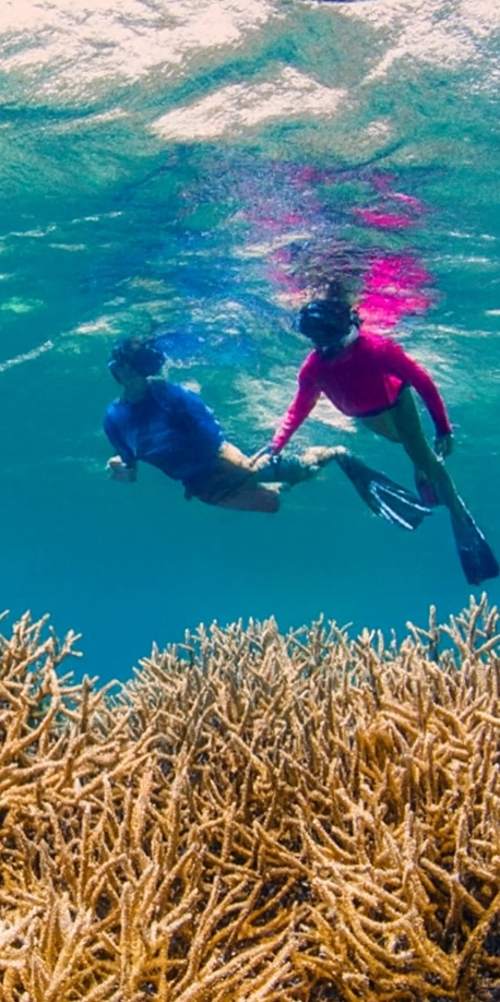 East End Snorkel Boat Trips